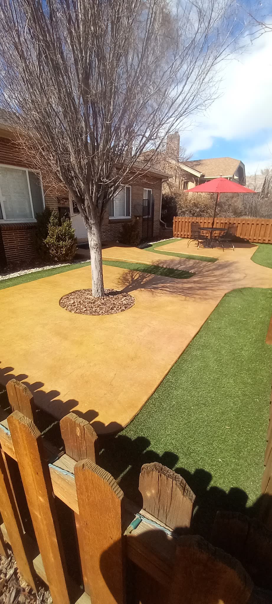 Golden stained concrete paths curving through turf around a tree